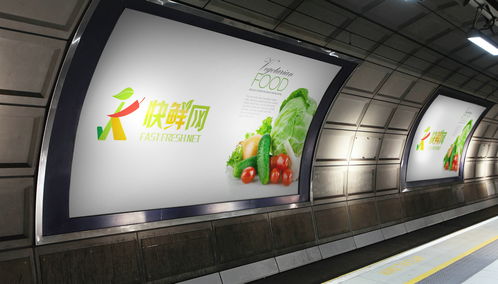 北京logo設計公司 互聯(lián)網(wǎng)果蔬食品logo設計及vi設計欣賞